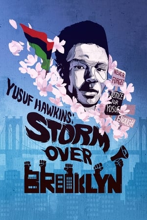Yusuf Hawkins: Storm Over Brooklyn watch Yusuf Hawkins: Storm Over Brooklyn