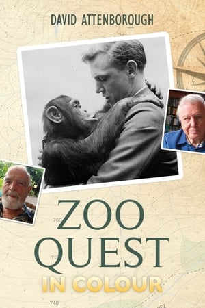 Zoo Quest in Colour watch Zoo Quest in Colour