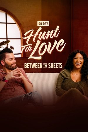 90 Day: Hunt For Love Between the Sheets 90 Day: Hunt For Love Between the Sheets-hd