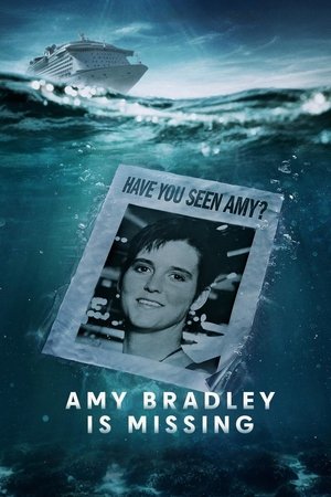 Amy Bradley Is Missing-hd