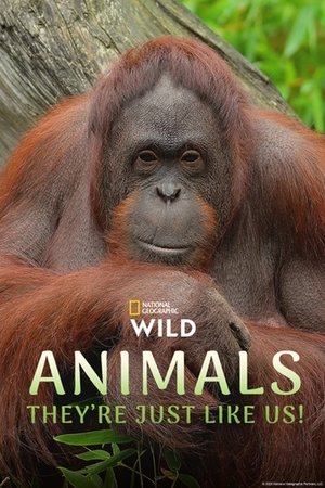 Animals, They're Just Like Us! Animals, They're Just Like Us!-hd