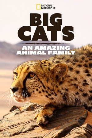 Big Cats: An Amazing Animal Family-hd