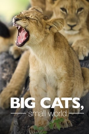 Big Cats, Small World Big Cats, Small World-hd