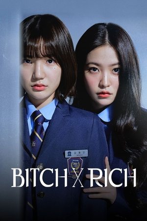 Bitch X Rich Bitch X Rich-hd