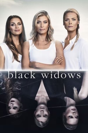 Black Widows Black Widows-hd