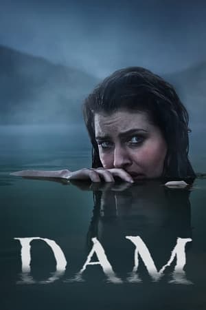 Dam Dam-hd