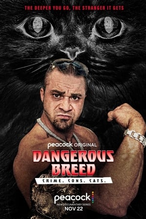 Dangerous Breed: Crime. Cons. Cats. Dangerous Breed: Crime. Cons. Cats.-hd