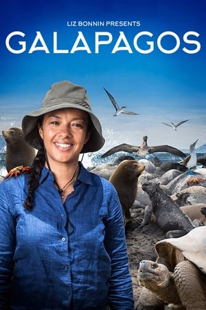 Galapagos Galapagos-hd