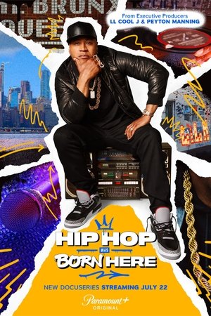 Hip Hop Was Born Here-hd