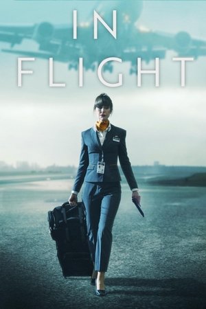In Flight-hd