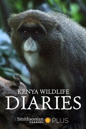 Kenya Wildlife Diaries-hd