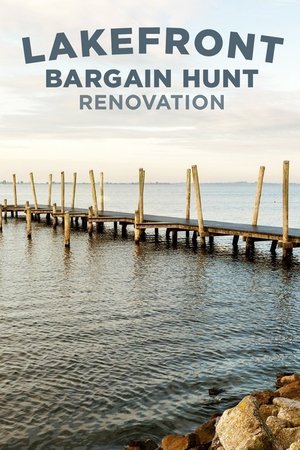 Lakefront Bargain Hunt Renovation-hd