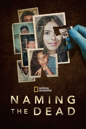 Naming the Dead Naming the Dead-hd
