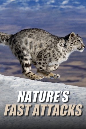 Nature's Fast Attacks-hd