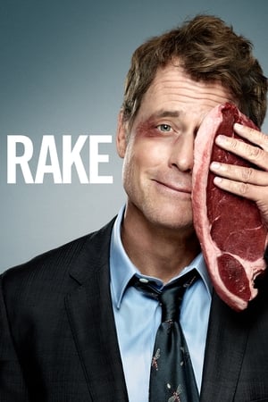 Rake Rake-hd