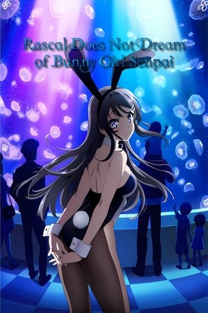 Rascal Does Not Dream of Bunny Girl Senpai Rascal Does Not Dream of Bunny Girl Senpai-hd