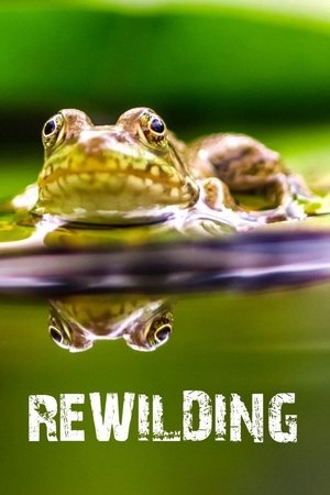 Rewilding Rewilding-hd