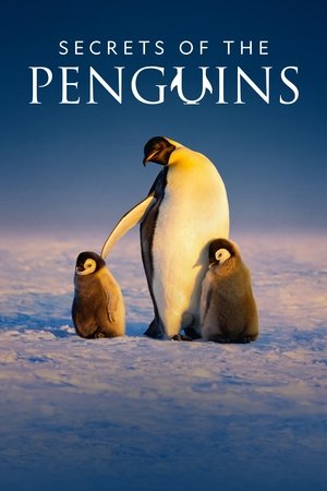 Secrets of the Penguins Secrets of the Penguins-hd