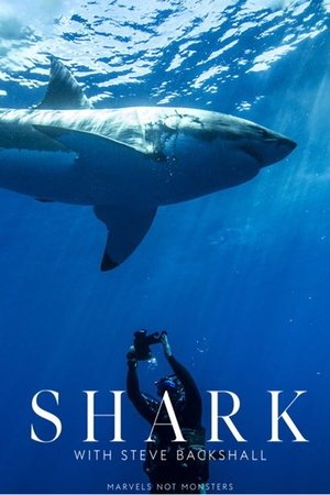 Shark with Steve Backshall Shark with Steve Backshall-hd