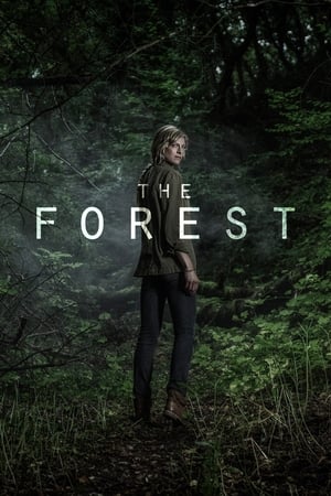 The Forest The Forest-hd