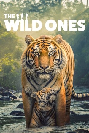 The Wild Ones-hd