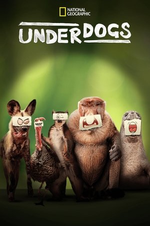 Underdogs Underdogs-hd
