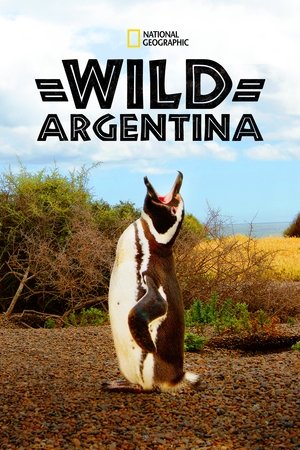 Wild Argentina Wild Argentina-hd